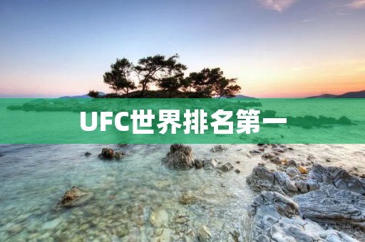 UFC世界排名第一:强者如何称霸擂台? UFC世界排名第一:强者如何称霸擂台?