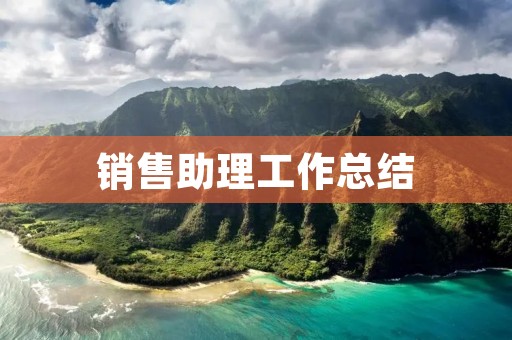 销售助理工作总结