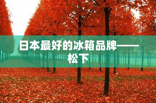 日本最好的冰箱品牌——松下 日本最好的冰箱品牌——松下