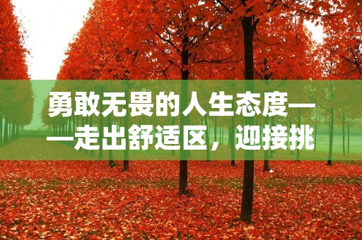 勇敢无畏的人生态度——走出舒适区,迎接挑战