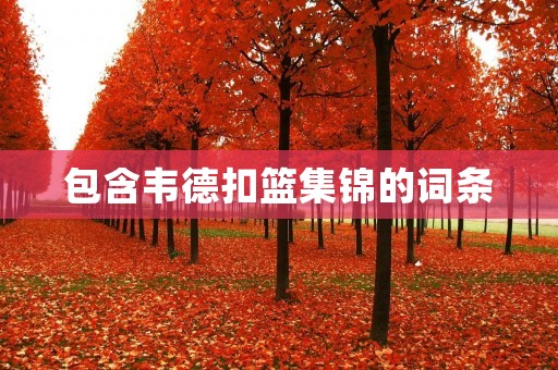 包含韦德扣篮集锦的词条 包含韦德扣篮集锦的词条