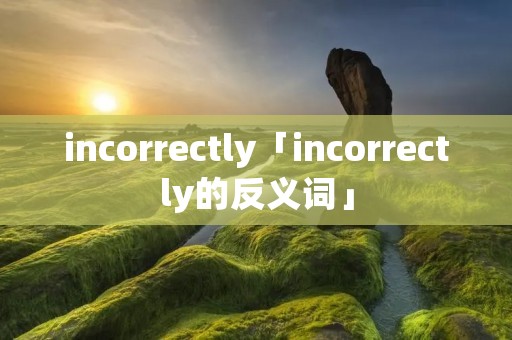 incorrectly「incorrectly的反义词」