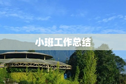 小班工作总结：提高教学质量，促进学生全面发展