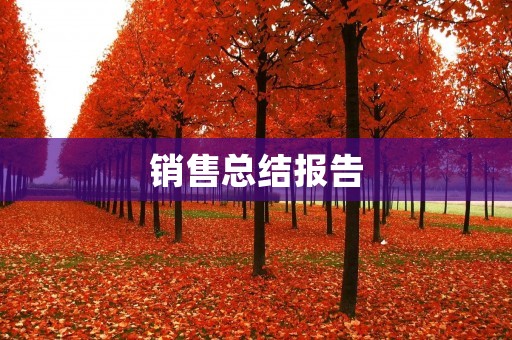 销售总结报告：挑战与机遇