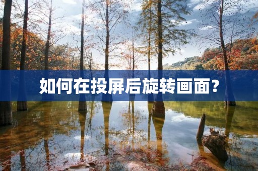 如何在投屏后旋转画面?
