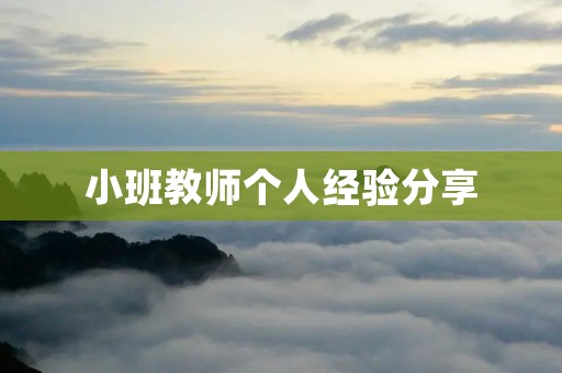 小班教师个人经验分享