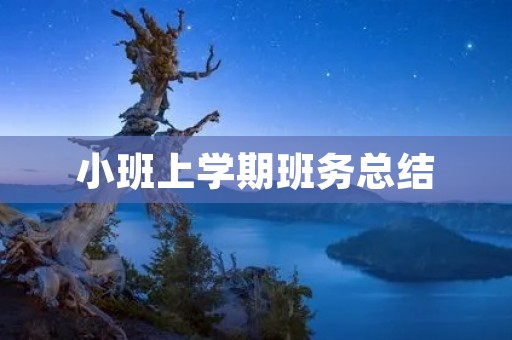 小班上学期班务总结