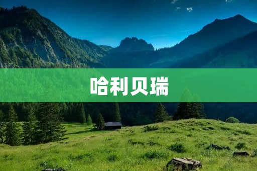 哈利贝瑞：让你的时尚品味更出众