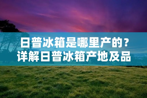 日普冰箱是哪里产的?详解日普冰箱产地及品牌背景 日普冰箱是哪里产的?详解日普冰箱产地及品牌背景