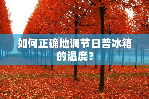 如何正确地调节日普冰箱的温度? 如何正确地调节日普冰箱的温度?