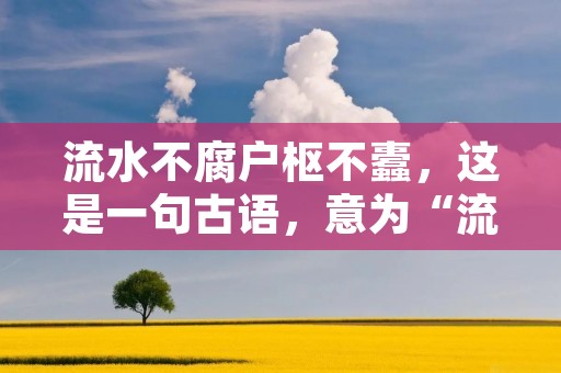 流水不腐户枢不蠹,这是一句古语,意为“流水不会腐烂,房屋的轴心也不会被虫蛀”,表达了流动的水源不会腐烂,而房屋的轴心是房屋的重要构件,不会被虫蛀。这句话也可以引申为“不断更新、不断进步的事物才能不被淘汰”。