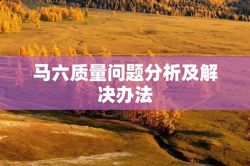 马六质量问题分析及解决办法 马六质量问题分析及解决办法
