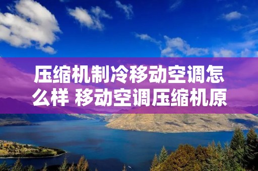 压缩机制冷移动空调怎么样 移动空调压缩机原理