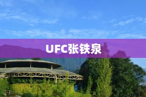 UFC张铁泉:中国拳击赛事的新生力量 UFC张铁泉:中国拳击赛事的新生力量