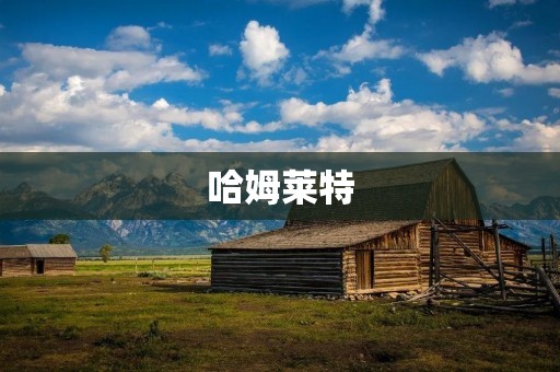 哈姆莱特：一个不可思议的悲剧
