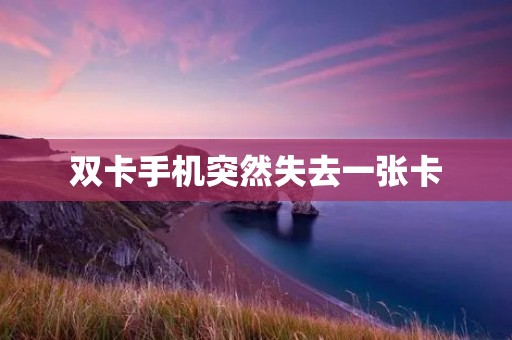 双卡手机突然失去一张卡:如何应对?