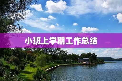 小班上学期工作总结