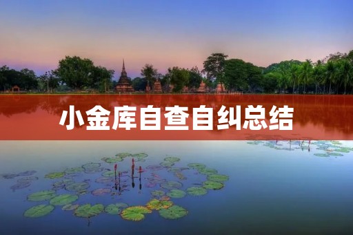 小金库自查自纠总结：发现问题，解决问题，提升管理水平