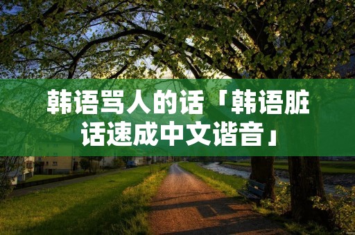 韩语骂人的话「韩语脏话速成中文谐音」