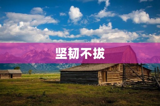 坚韧不拔:追求胜利的不懈努力