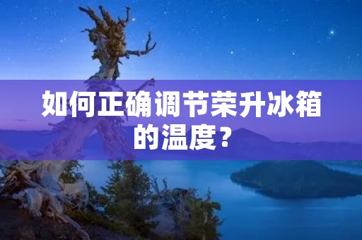 如何正确调节荣升冰箱的温度？