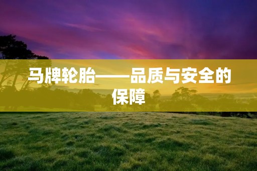 马牌轮胎——品质与安全的保障