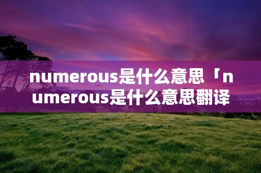 numerous是什么意思「numerous是什么意思翻译」