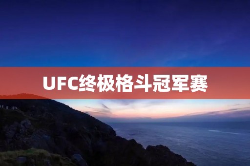UFC终极格斗冠军赛:在激烈的角逐中寻找最强者 UFC终极格斗冠军赛:在激烈的角逐中寻找最强者