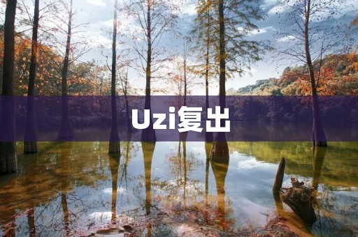 Uzi复出：LPL战场再次迎来传奇