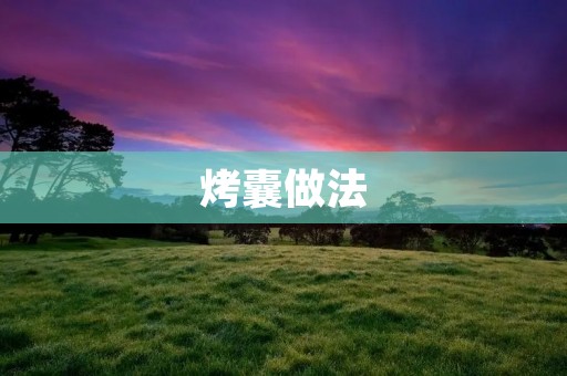 烤囊做法：轻松制作香酥美味的烤囊