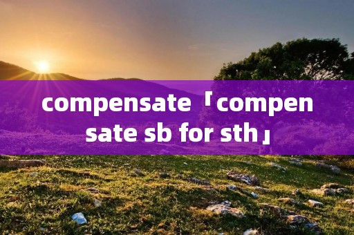 compensate「compensate sb for sth」