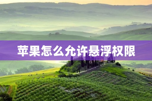 苹果怎么允许悬浮权限