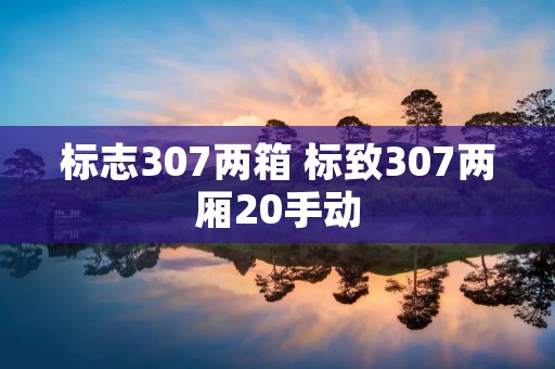 标志307两箱 标致307两厢20手动