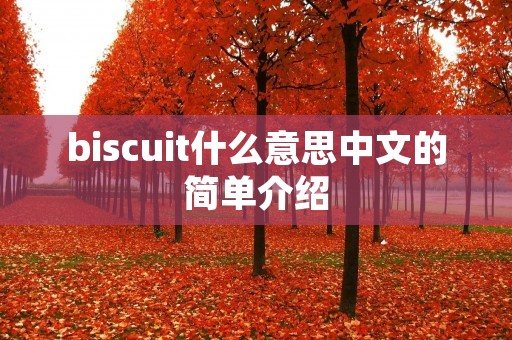 biscuit什么意思中文的简单介绍