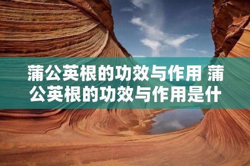 蒲公英根的功效与作用 蒲公英根的功效与作用是什么