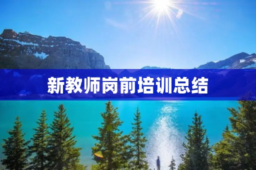 新教师岗前培训总结