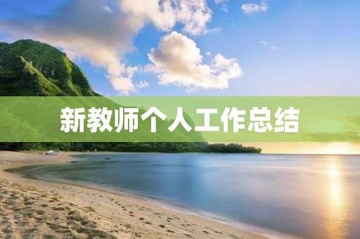新教师个人工作总结