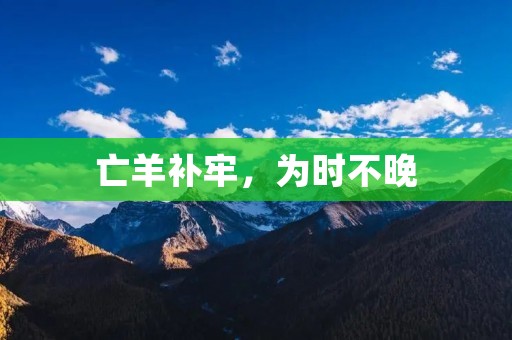 亡羊补牢,为时不晚