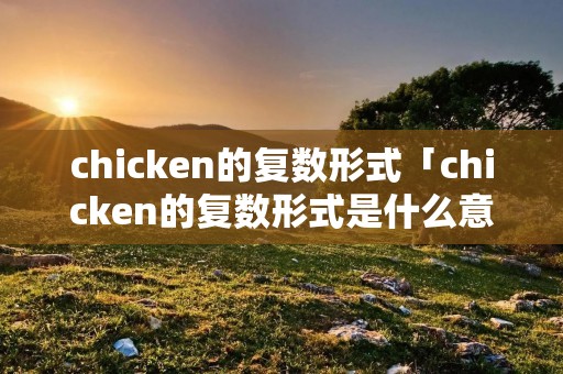 chicken的复数形式「chicken的复数形式是什么意思」
