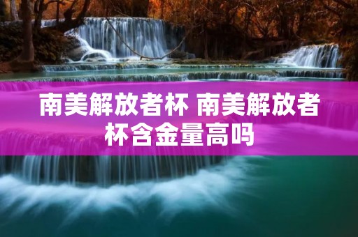 南美解放者杯 南美解放者杯含金量高吗