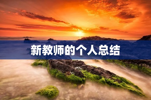 新教师的个人总结
