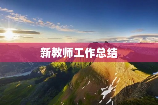 新教师工作总结:初入教育行业的个人成长与反思