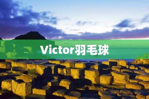 Victor羽毛球:让你的比赛更具竞争力 Victor羽毛球:让你的比赛更具竞争力