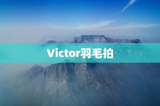 Victor羽毛拍：挥洒出高水平比赛的利器