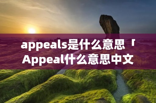 appeals是什么意思「Appeal什么意思中文」