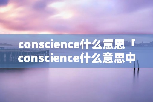 conscience什么意思「conscience什么意思中文翻译成」