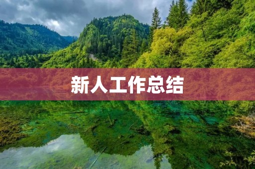 新人工作总结:从实习生到正式员工的成长历程