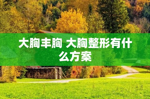 大胸丰胸 大胸整形有什么方案