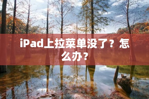iPad上拉菜单没了?怎么办?