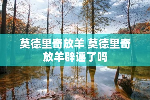 莫德里奇放羊 莫德里奇放羊辟谣了吗